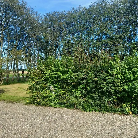 Lille Parque de Campismo *